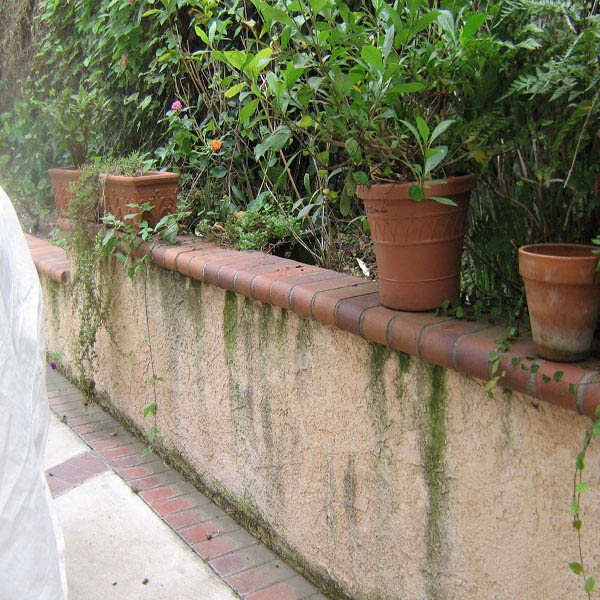 House Pressure Washing / Fence Pressure Washing/ Fence Power Washing